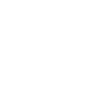 Realizamos Eventos